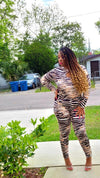 TIGERS NEED LOVE TOO